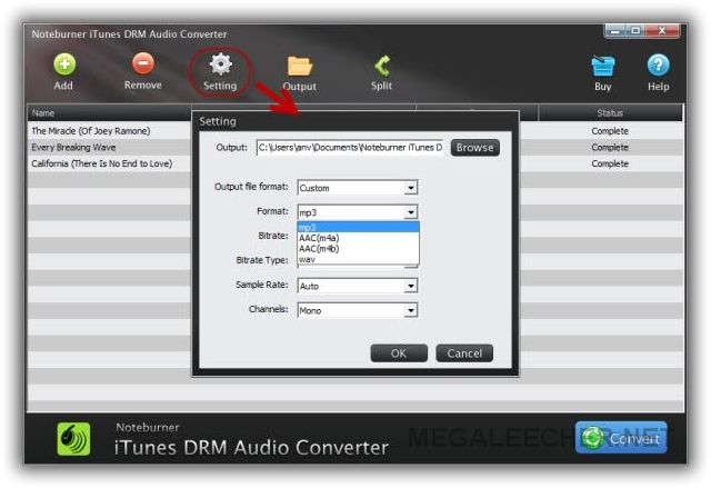 noteburner apple music to cd converter